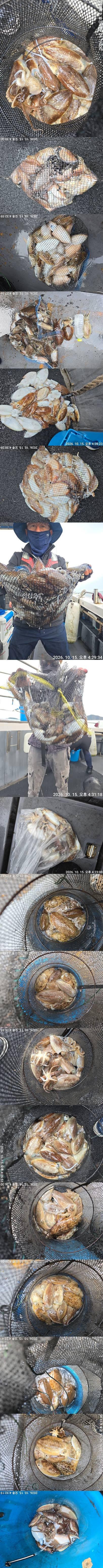[크기변환]KakaoTalk_20261015_193046375_05-vert.jpg