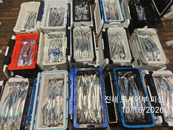 KakaoTalk_20261016_060819468_12.jpg