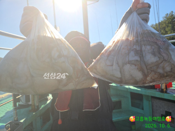 쎄븐피싱클럽(선상 버스출조전문)_사진_20261008_10.jpg