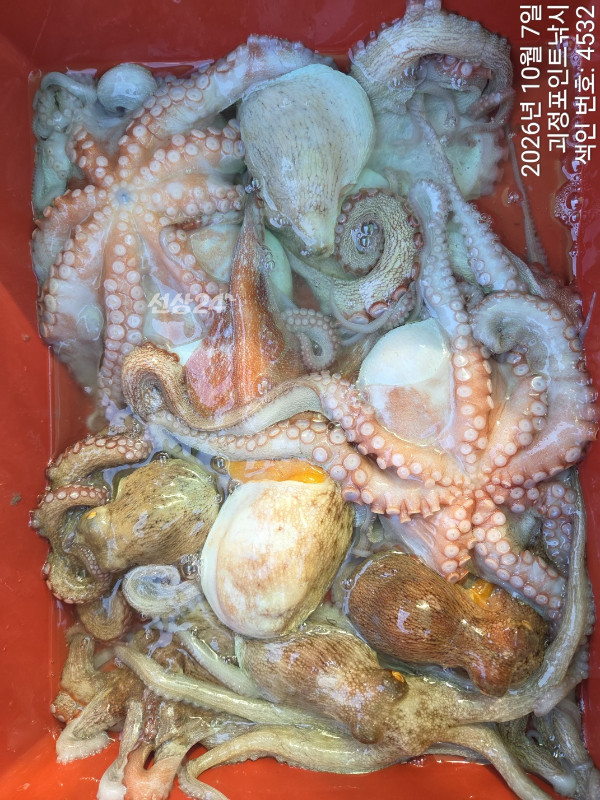 KakaoTalk_20261007_145550498_09.jpg