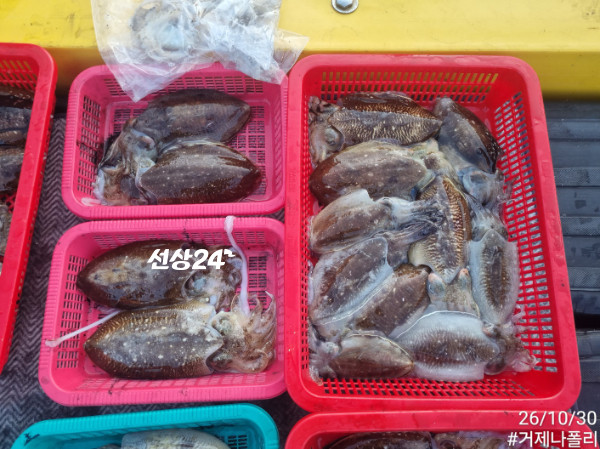 KakaoTalk_20261030_191917462.jpg