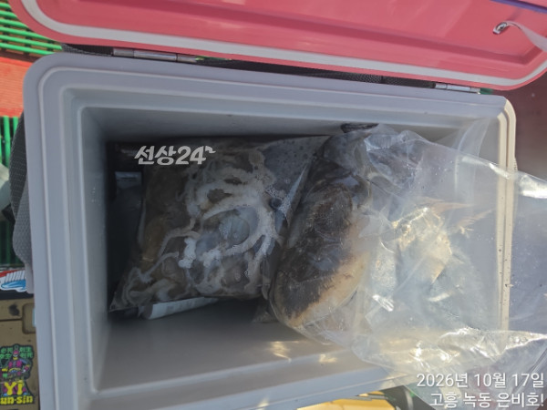 고흥 녹동 은비호!(두족류,돌돔,외수질)_사진_20261018_18.jpg