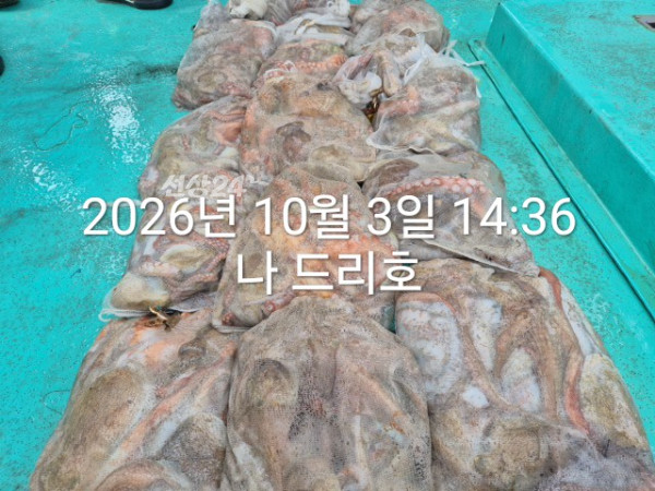 KakaoTalk_20261003_151547799.jpg