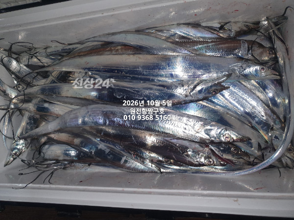 KakaoTalk_20261005_051425255_25.jpg