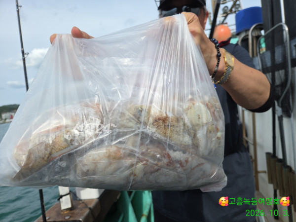 쎄븐피싱클럽(선상 버스출조전문)_사진_20261003_10.jpg