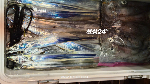 1004피싱_사진_20261030_12.jpg