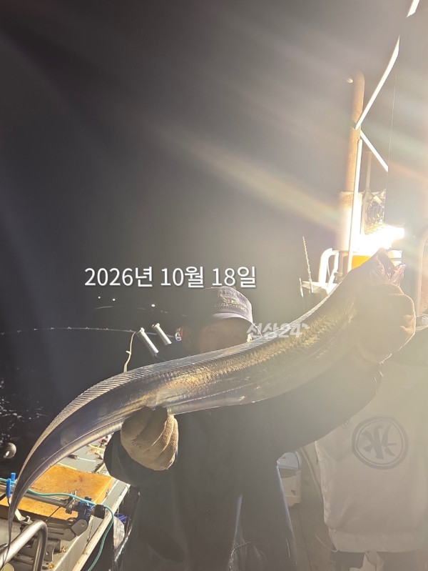1353C47D-D917-4685-ADFE-CF545325209E.jpeg
