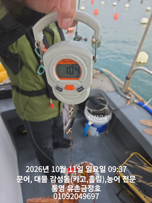 1000062496.jpg