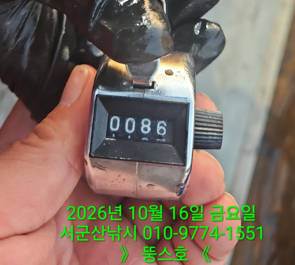 군산 선상낚시, 바다낚시 출조 전문 ☆서군산낚시☆_사진_20261017_5.jpg