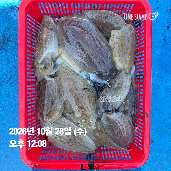 KakaoTalk_20261028_174415416_04.jpg