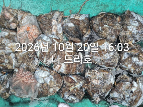 KakaoTalk_20261020_173037303_07.jpg