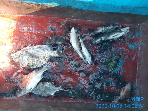 IMG_20261026_140654.jpg