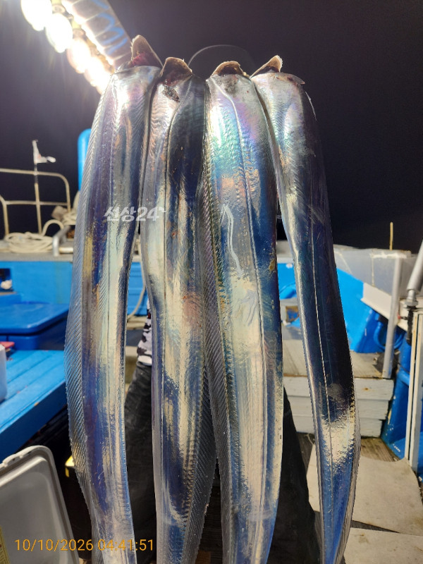 KakaoTalk_20261011_174938060_12.jpg