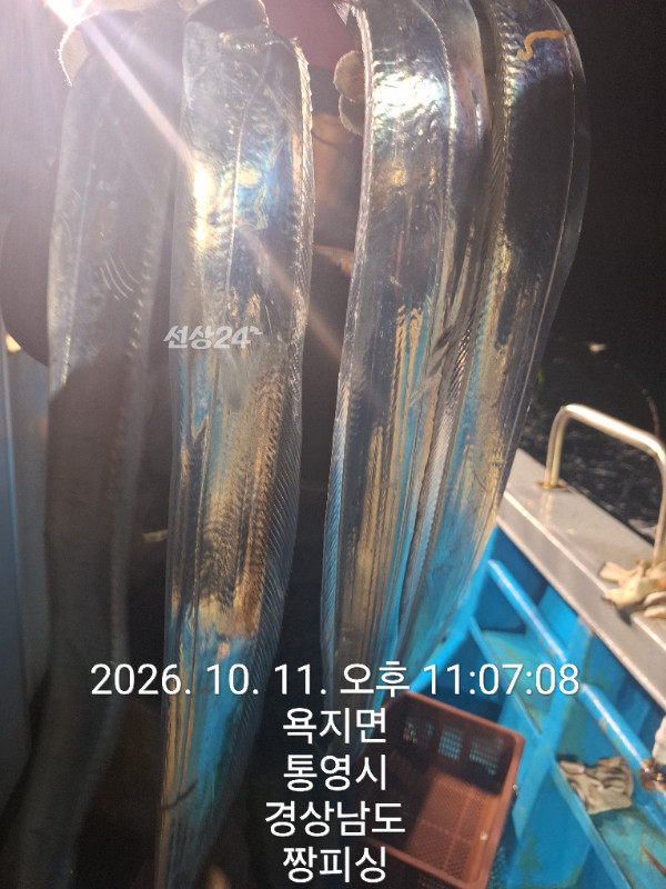 1000084381.jpg