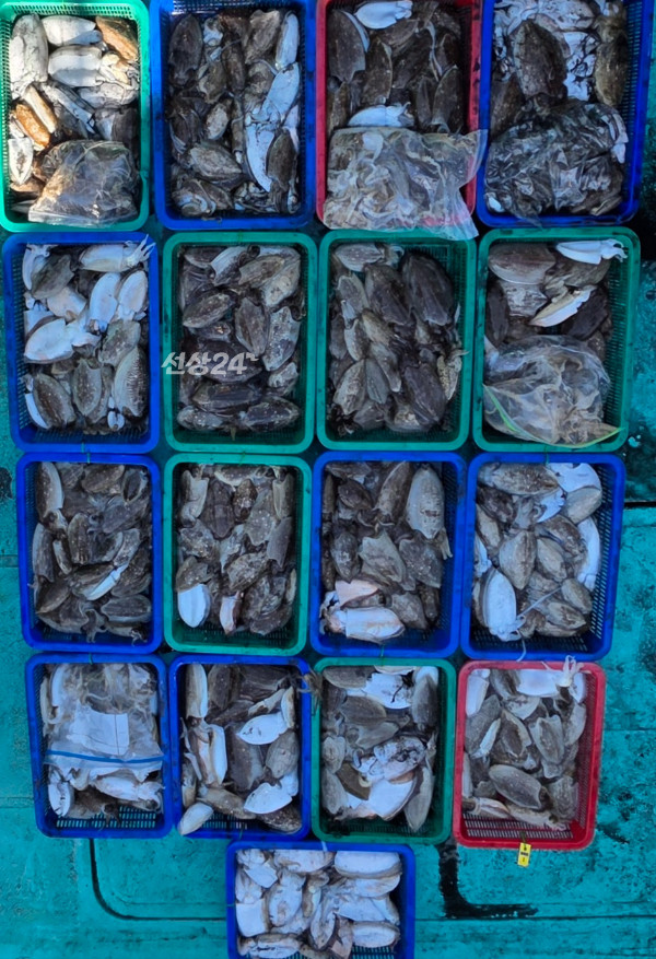 68444.jpg