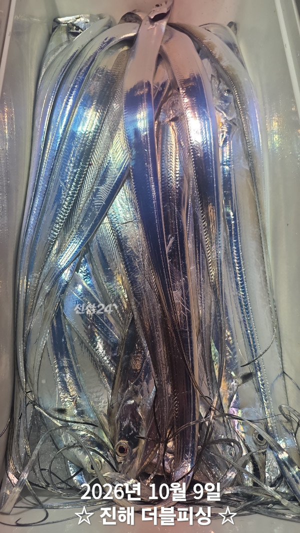 52989.jpg
