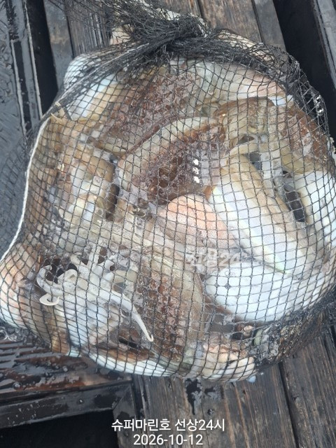 1000052487.jpg