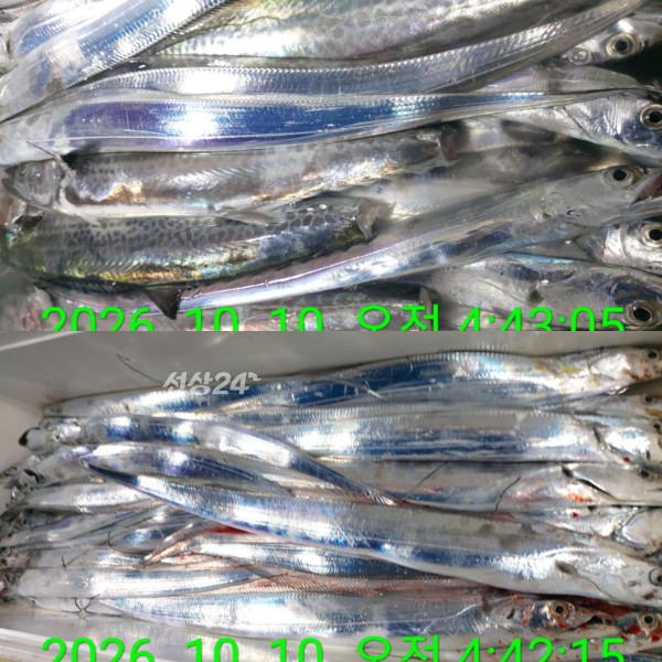 1000087266.jpg