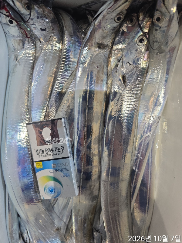 1000403093.jpg