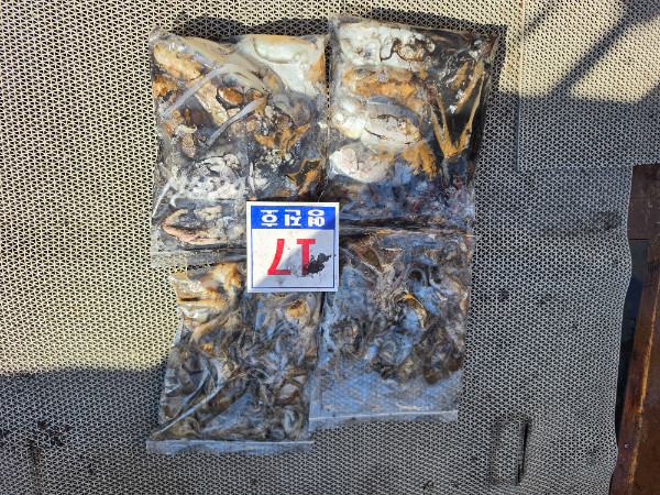 1000072158.jpg
