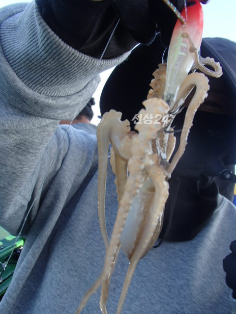 205.JPG
