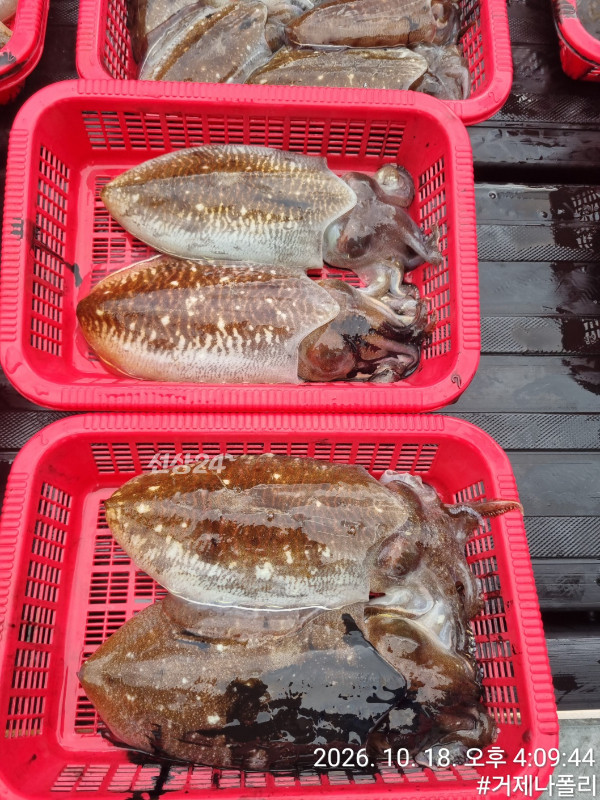 KakaoTalk_20261019_144132403_02.jpg