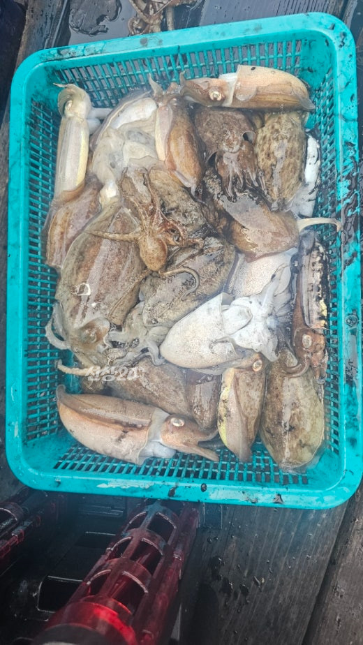 KakaoTalk_20261016_184952249_03.jpg