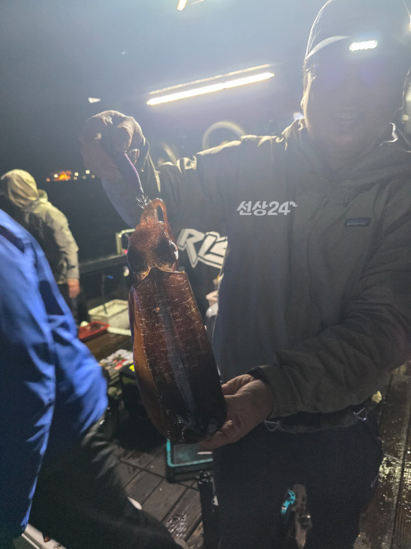 11036.jpg