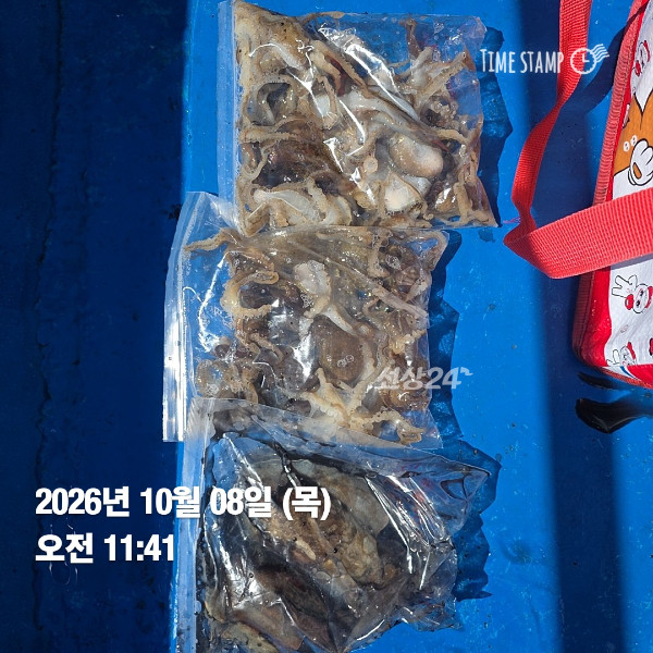 KakaoTalk_20261008_195803568_03.jpg