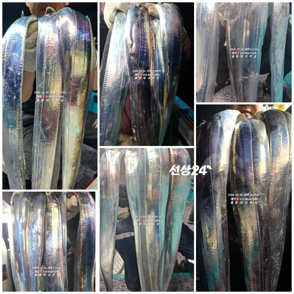 GridArt_20261031_095852418.jpg