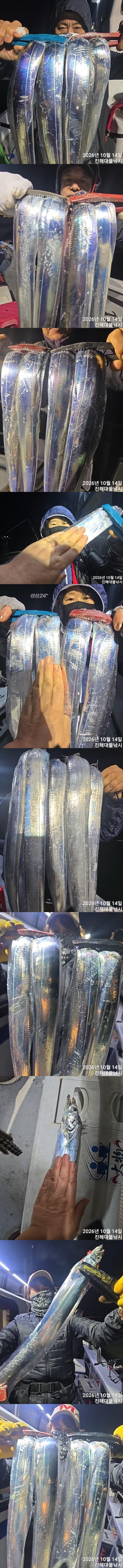 칼치1.jpg