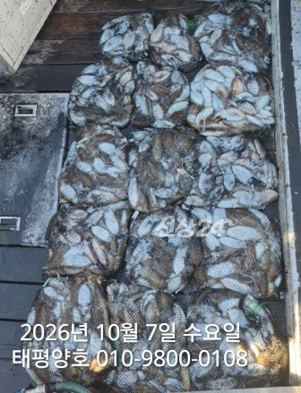KakaoTalk_20261007_164522106_01 (1).jpg