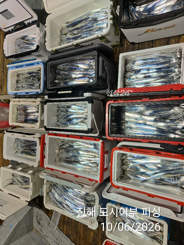 KakaoTalk_20261006_045311778_07.jpg