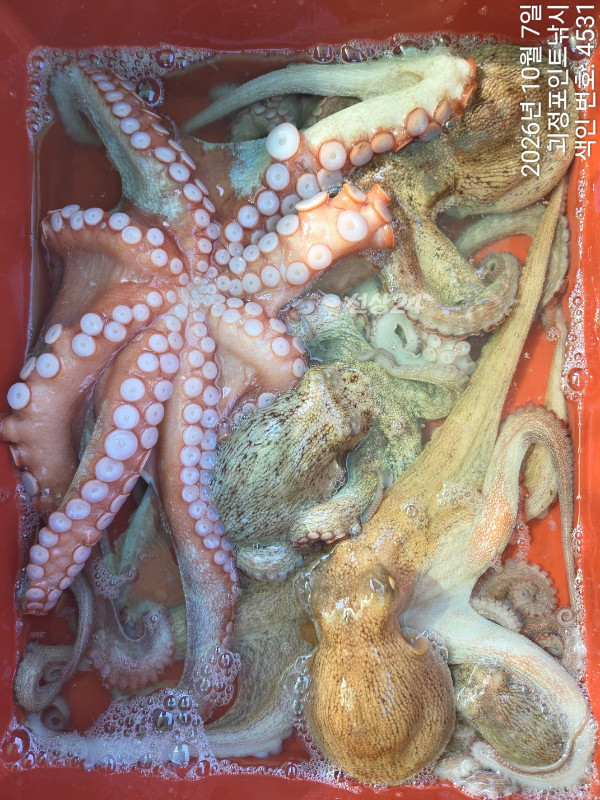 KakaoTalk_20261007_145550498_08.jpg