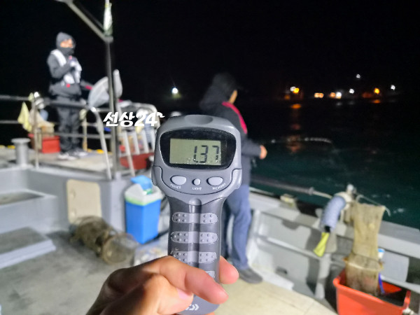 5941.jpg