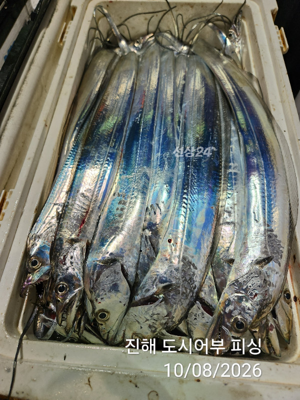 KakaoTalk_20261008_051056035_16.jpg