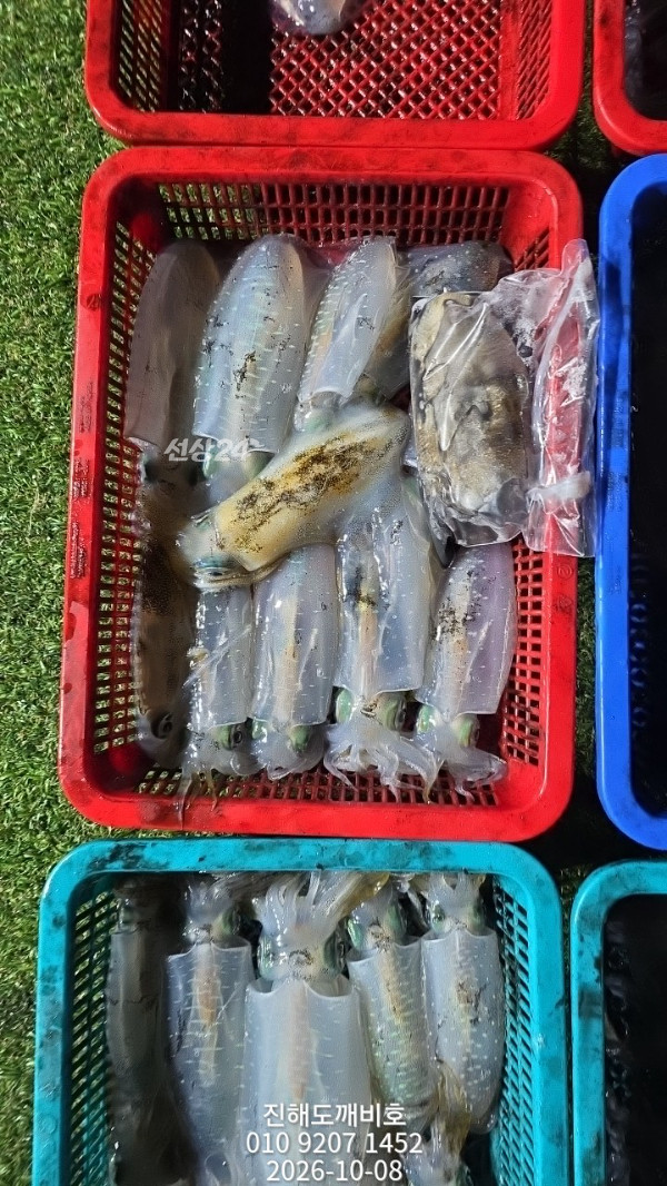 9051.jpg