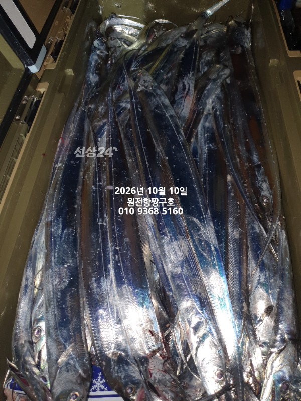 KakaoTalk_20261010_060125117.jpg