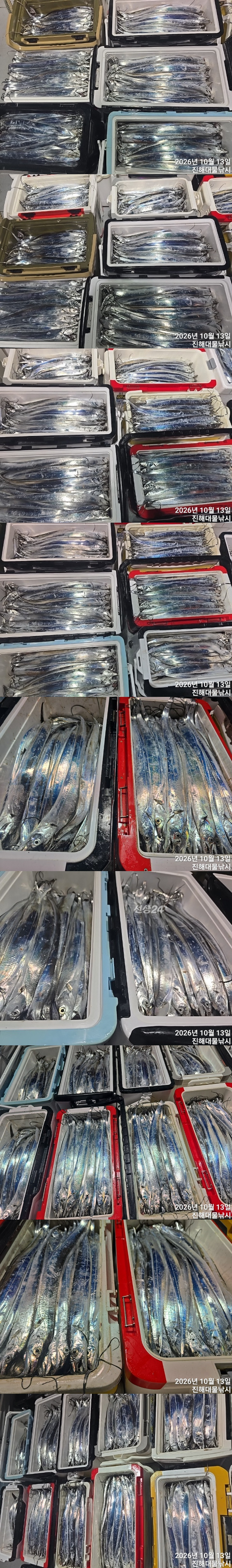 칼치2.jpg