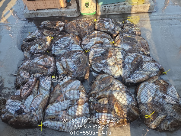 1000043717.jpg