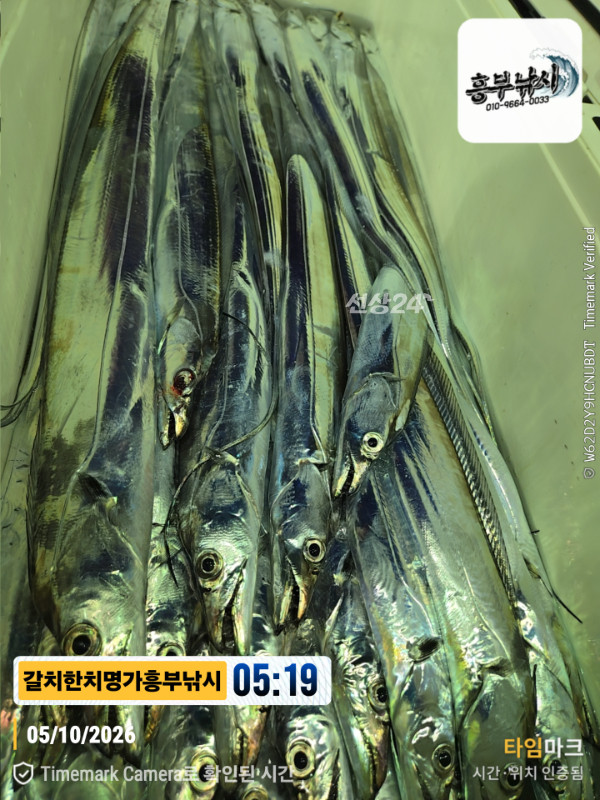 20261005_051947_Japan_제목-갈치한치명가흥부낚시.jpg