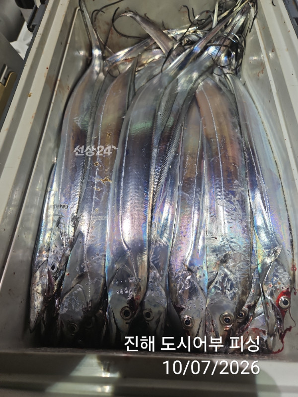 KakaoTalk_20261007_050419897_17.jpg