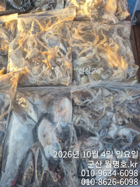 18116.jpg