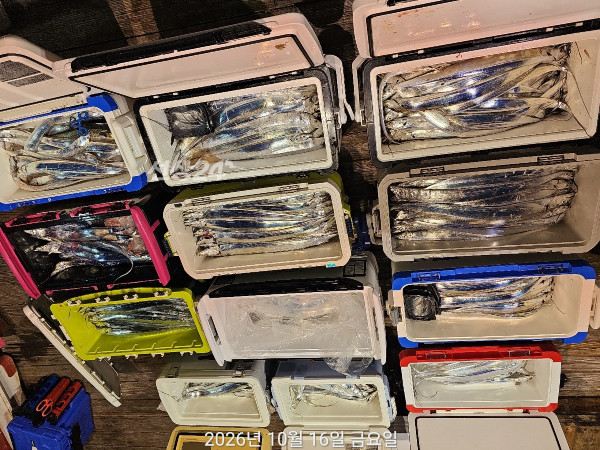 F56C186E-1057-47C3-8083-17F0E75F73A7.jpeg