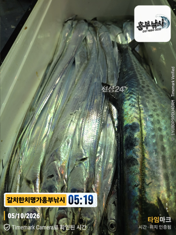 20261005_051916_Japan_제목-갈치한치명가흥부낚시.jpg