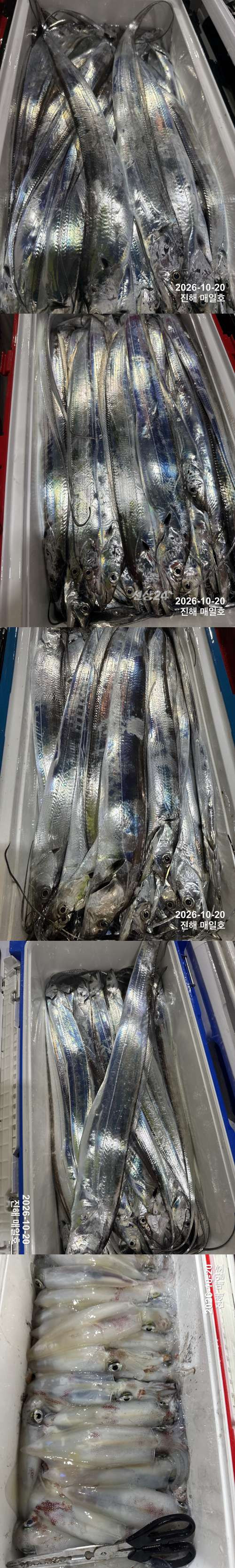 갈치4.jpg