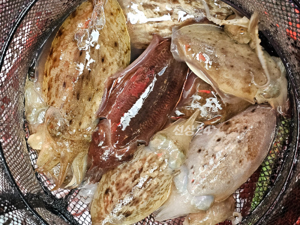 KakaoTalk_20261025_175638348_04.jpg