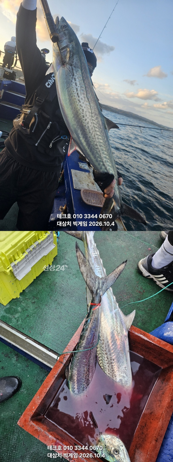 KakaoTalk_20261004_190917115_08-vert.jpg