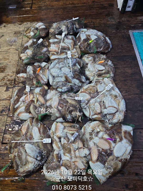 1000018107.jpg