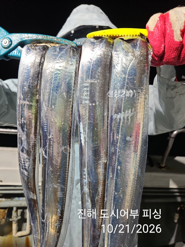 KakaoTalk_20261021_040550071_07.jpg